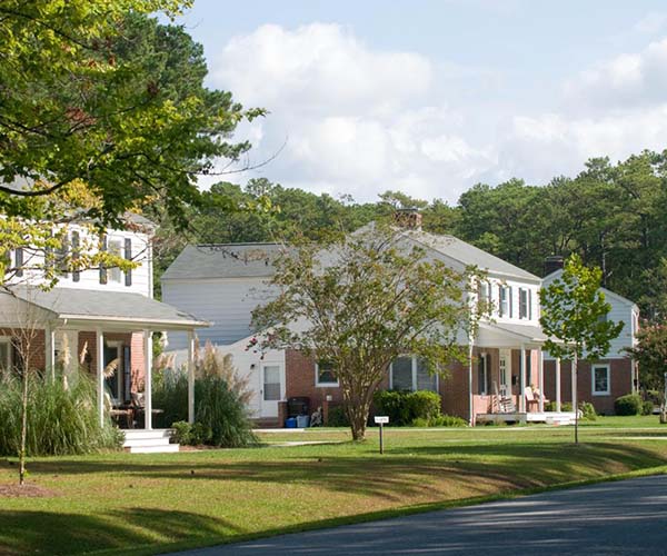 Tree Lined Residential Street